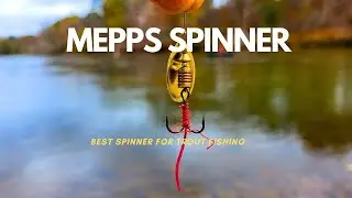 Best spinner for trout fishing #troutfishing #mepps #fishing