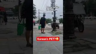 Who knows this pet? #shorts #viral #travel #trending #youtubeshorts #ytshorts #korea #seoul #kpop