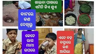 ବାଟରେ ଆଜି କଣ ଦେଖିଲୁ/ବସ୍ତାରେ କଣ ଆସିଲା/ଏମିତି କିଏ ଶୁଏ #birunandjejemaaslife #viral #viralvideo #viral