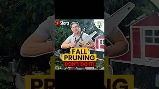 Why NOT to (MAJOR) Prune In Fall.  Full YouTube Lesson Published Earlier This Week. #IVOrganic
