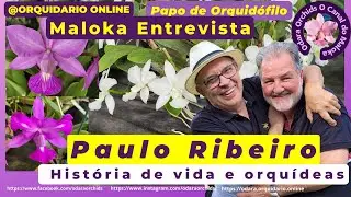 Paixão por Cattleya walkeriana, História de Vida e de #orquideas Paulo Ribeiro Entrevistado do canal