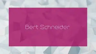 Bert Schneider - appearance