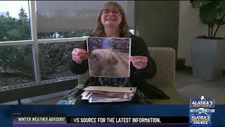 Financial assistance for Alaskan pet owners