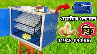 incubator for eggs | hatching eggs in incubator | como hacer una incubadora | শখের ইনকিউবেটর 