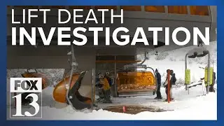 No one can recall accident like tree fall that killed Utah resort employee