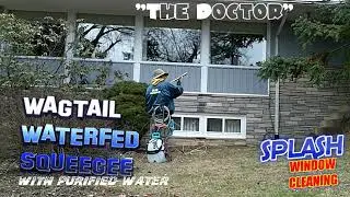 waterfed wagtail squeegee