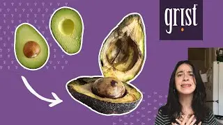 My four steps to stop food waste at home, 🏠🥗🙌