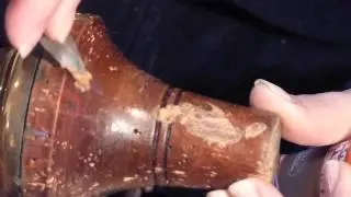 Holthe houtworm