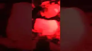 #shorts  Performa 44 audio n lighting di BInTER