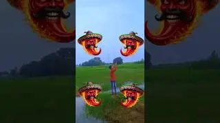 || Funny chili🌶 head to the🥰 Elephant, Bear, Rabbit, Cat || #funny #vfx #shorts @shivakantVFX2.0