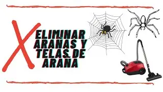 Truco para eliminar arañas y telas de araña