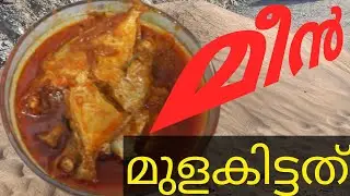MULLAN MULAKITTATHU/MEEN MULAKITTATHU/MEIN CURRY/SIMPLE MEIN CURRY/MEEN CURRY WITHIN 2 MINUTES