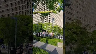 LA city council parade