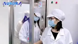 Aurora 5 layer KN95 mask