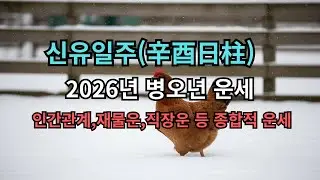 💎🔥 [신유일주 2026 운세] 빛나는 보석(辛酉)이 시험대에 올랐다! 명예/승진 대운, 단 과로와 경쟁 경고