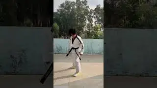 New 🥋Shoe...#taekwondo #taekwondoshoes #daedo #daedointernational  #360kick #butterflykick