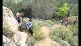 PE&Ntilde;A DE LAS DOCE EN PUNTO ( SIERRA DE TOLO&Ntilde;O ).