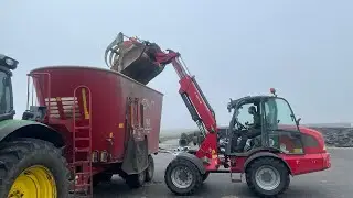 Feeding cows and making feed for cows | full process making cow feed and feeding cows