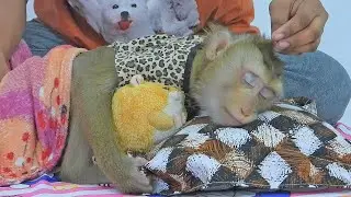 Well Sleeping!! Cute Girl Luna Taking Nap Routine
