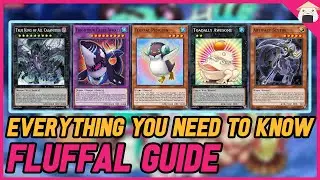 How to play Fluffals Beginner Combo Guide Yu-Gi-Oh! Master Duel!
