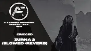 CRICCED - ZURNA 2 (SLOWED + REVERB)