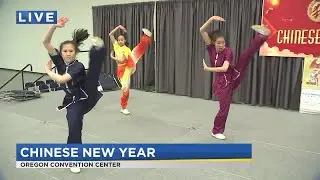 On the Go with Joe at 2019 Chinese New Year Cultural Fair