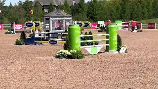 HERO VAN DE ZONNEHOEVE ( 05/14/23 )
