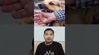 rabis , dog #shorts #facts #knowledge #education #ytshorts #india #dog #rabis #science #viral