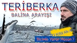 Bizimle Y&uuml;r&uuml;r M&uuml;s&uuml;n ? Balinaları G&ouml;rmeye &Ccedil;ıkıyoruz | Teriberka & Barents Denizi ( Part IV )