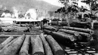 Big Joe Williams Old Saw Mill Blues (1963)