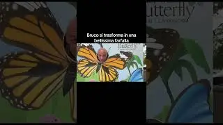 Il bruco si trasforma in farfalla 🦋 #bruco #farfalla #pelato