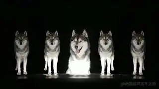 Best dancer ever #ai #sora #viral #fyp #viral 