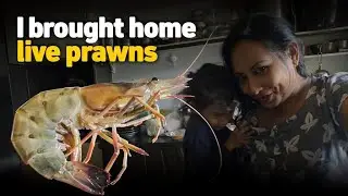 Prawns Curry: The Secret Ingredient You're Missing?#ytshorts #viral 