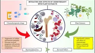 Myelosuppression or Bone marrow Suppression ; Definition, Causes, Symptoms, Diagnosis, Treatment