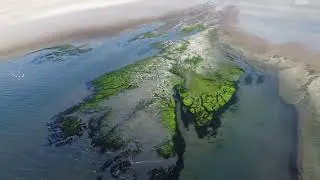 vid&eacute;o de drone en 4K, P&eacute;rou, R&eacute;serve de Paracas - Flamands roses