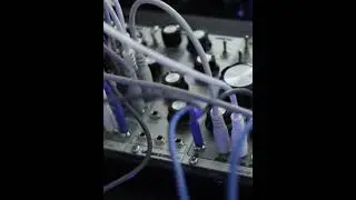 Pittsburgh Modular Analog Replicator on the Vibraphone #shorts