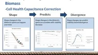 Bend Research: Fundamentals of Dielectric Spectroscopy