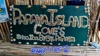 Papaya Island Cove Vlog 020 | Ryan BiBi Vlogs