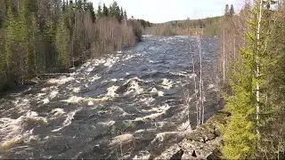 V&aring;rfloden drabbar norra Sverige - Nyheterna (TV4)