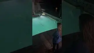 Big Bull Sharks Circling the Boat 🦈