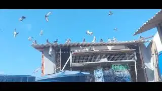 Dia 28 de março abertura da nossa temporada 2025