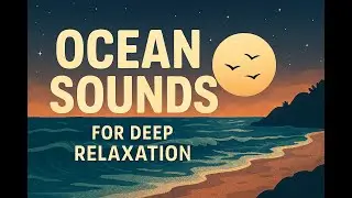 Ocean Sounds to Melt Your Stress Away 🌊