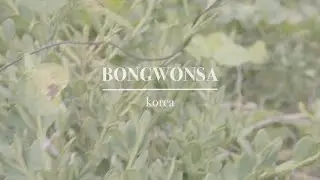 BONGWONSA(feat. seoul healing spot)