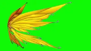 Golden Dreamix Power Fairy Wings Flapping on Green Screen Effects 🪙📀👑🧚&zwj;♀️🪽(Right)