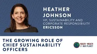 The Growing Role of Chief Sustainability Officers