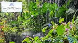 Calm Mind Reset &mdash; 60 Minutes of Deep Relaxation Music