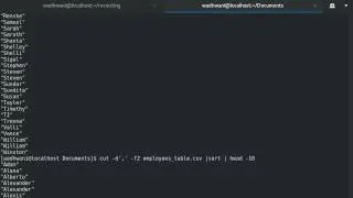 Learn Linux 31 - Working with cut command