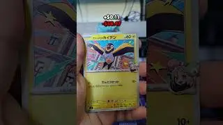 Pokemon Battle Partners Pack Opening | Day 17