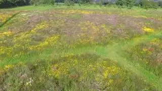 Seven Penny Meadow