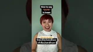 How to say &ldquo;YOU'RE CUTE&rdquo; in Isaan | Learn Thai with Shelby #shorts